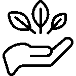 COLORACIÓN BARROS - Mariola Sánchez - Peluquería Orgánica