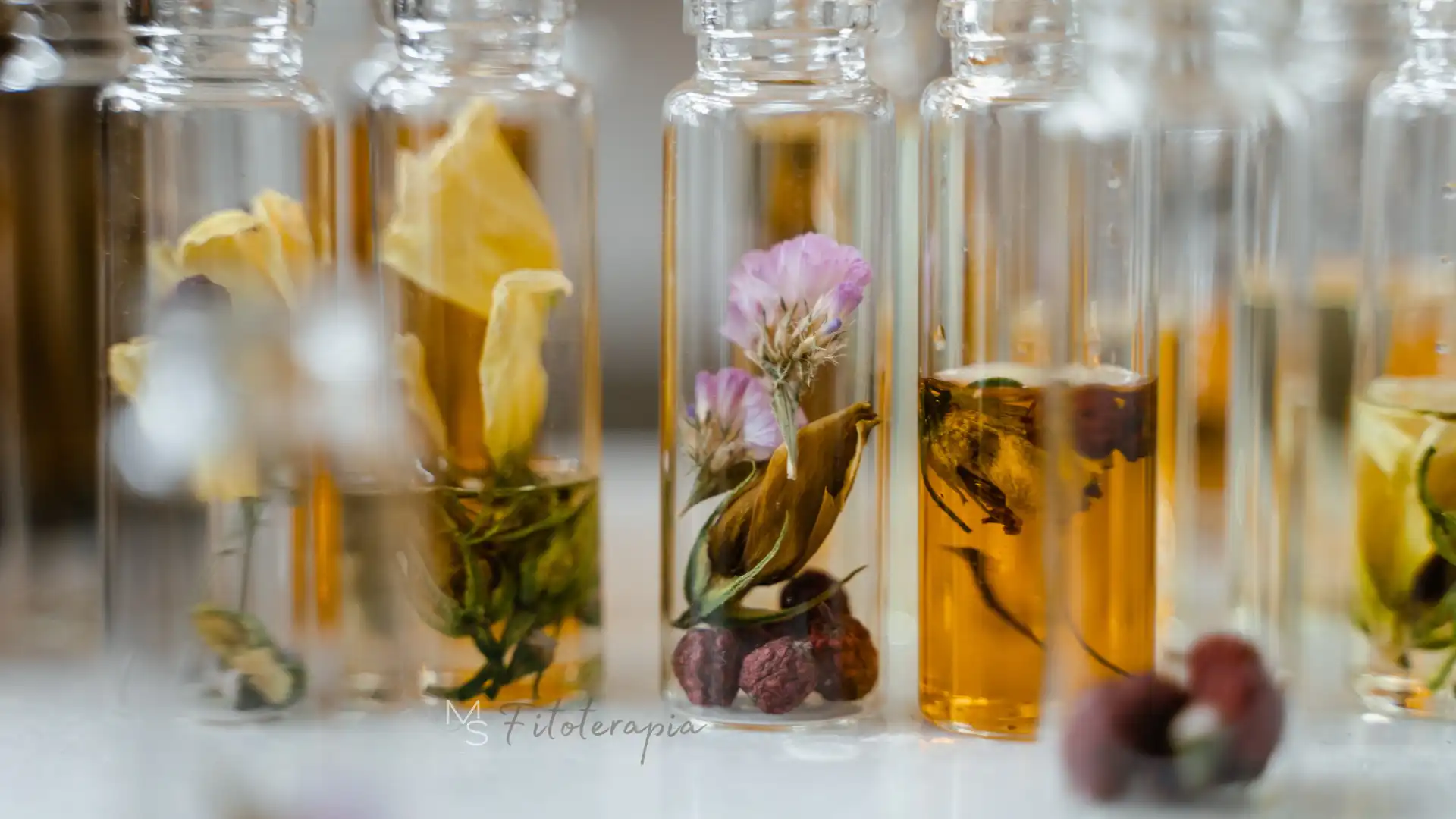 ayurveda-cuidado-capilar